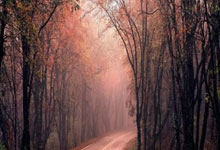 拉坦齐奥：深圳有良好氛围 有强烈意愿建设球队.