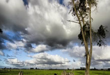 江南体育官网：西人后卫希拉利：听到我入选摩洛哥国家队后，我的家人都哭了.