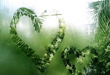 官宣！晶澳科技与欧冠球队多特蒙德开启合作，超.