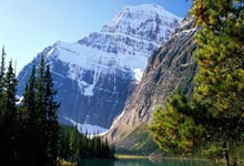 江南体育官网：官方：新世俱杯冠军奖金为1.25亿美元；不同大洲的俱乐部可获奖金不同.