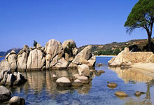 英媒：阿莫林已口头同意执教曼联.